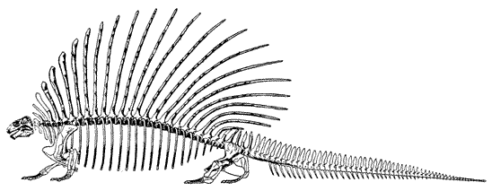 Edaphosaurus_cruciger