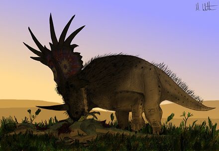 styracosaurus-gone-bad